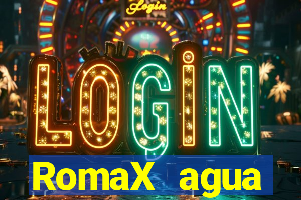 RomaX agua sanitaria fispq agua sanitaria romax